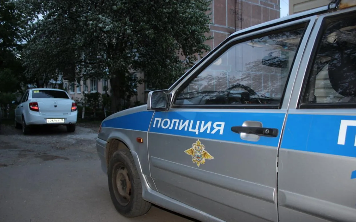 Жительницу Удмуртии осудили за нападение на полицейского