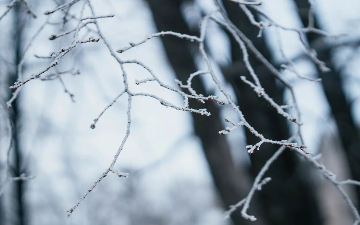 Гололед и ледяной дождь ожидаются в Удмуртии утром 20 апреля