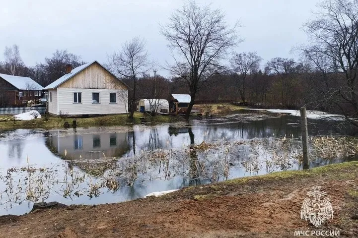 Фото: пресс-служба МЧС Удмуртии