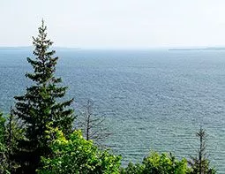 Алла Долганова