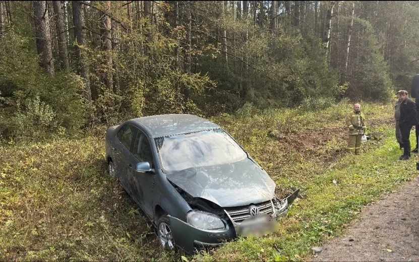 Девушка и 2-летняя девочка пострадали в ДТП под Ижевском