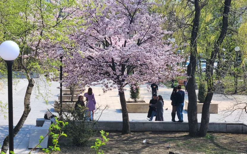 Жители Удмуртии стали чаще пользоваться услугами аллерголов