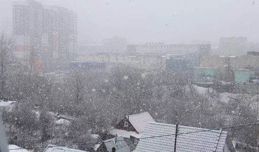 автора