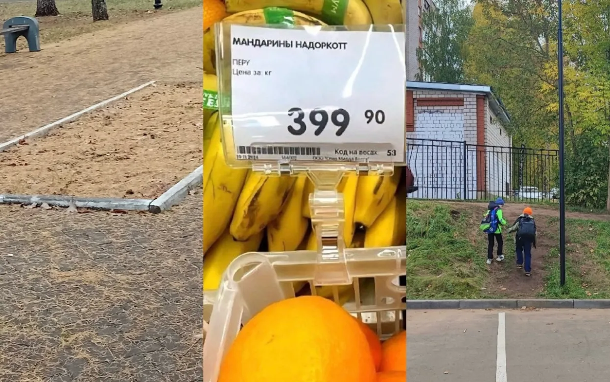 Хождения онкобольного по больницам, высокие цены на мандарины и беспорядок у Вечного огня: что обсуждают ижевчане в соцсетях 10 ноября