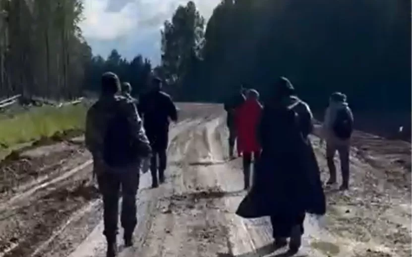 Пропавшего в лесу под Дебесами пожилого мужчину ищут почти месяц