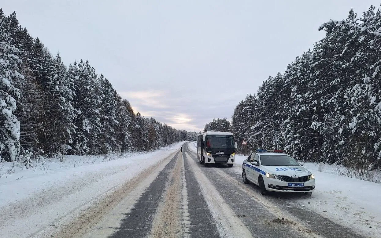 Новогоднее утро в Удмуртии закончилось реанимацией для 18-летнего пешехода