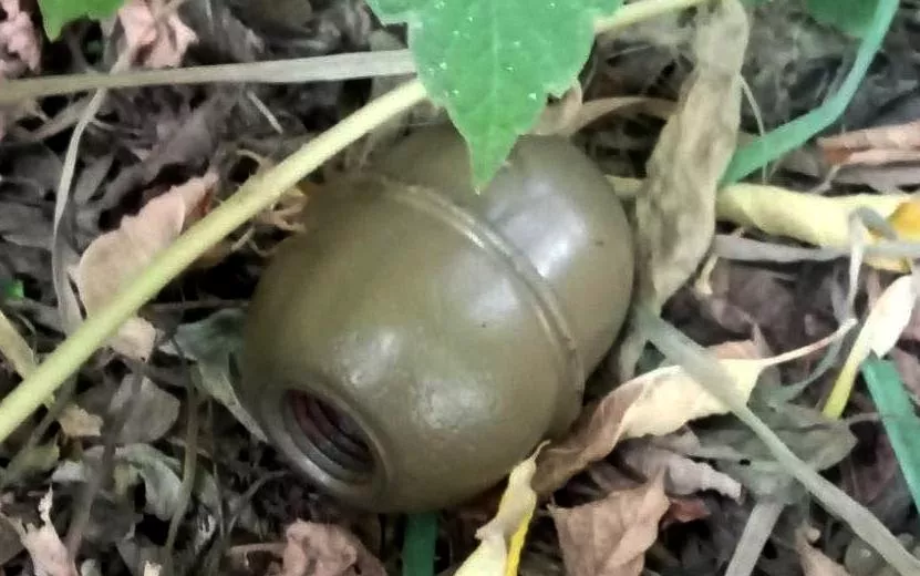 Муляж гранаты нашли во дворе дома в Ижевске