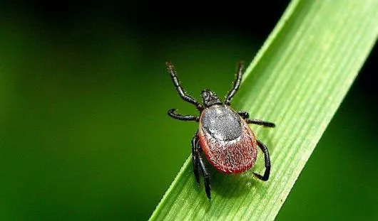 архив редакции