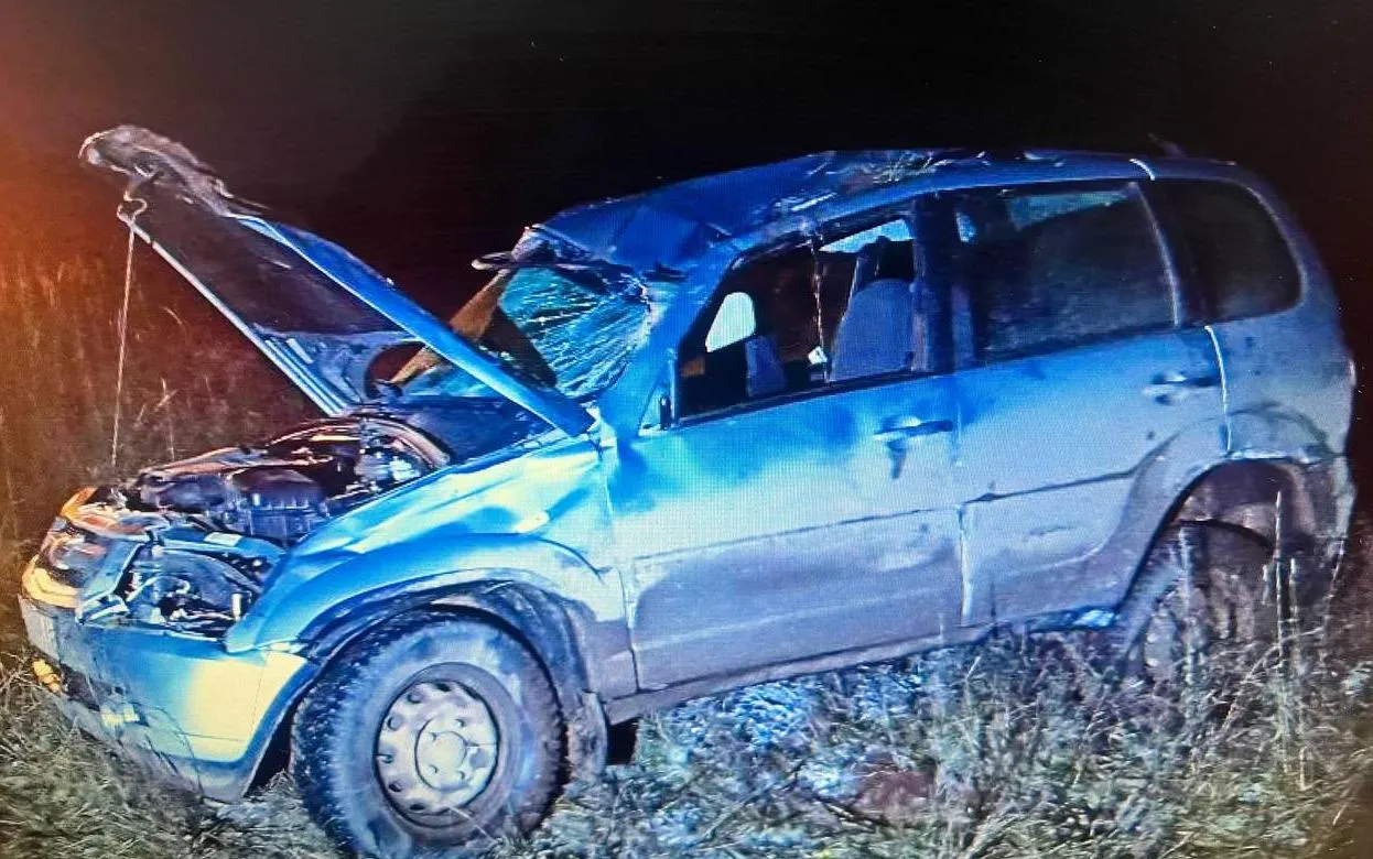 Пьяный водитель «Нивы» пострадал на дороге в Удмуртии