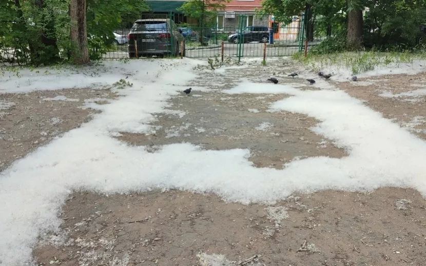 Тополиный пух в Ижевске. Фото: IZHLIFE
