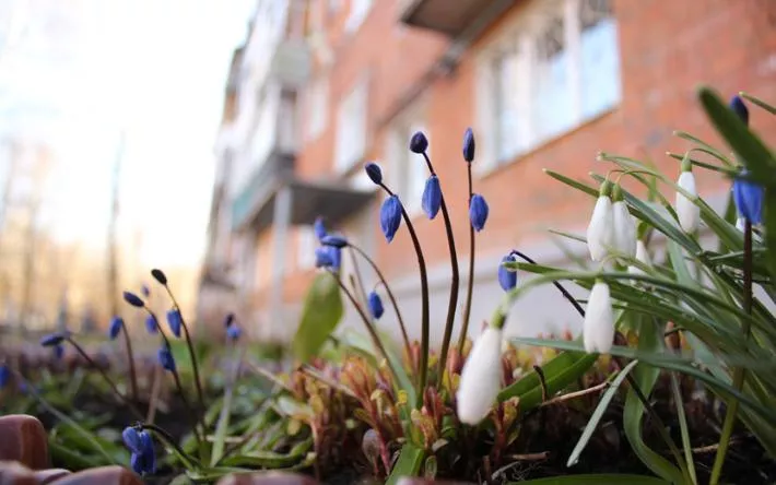 Погода в Ижевске на день: тепло и ветрено 