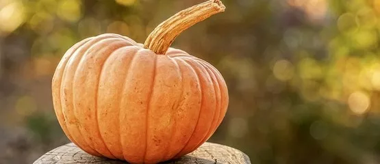 4 необычных блюда из тыквы, которые можно приготовить на Хэллоуин
