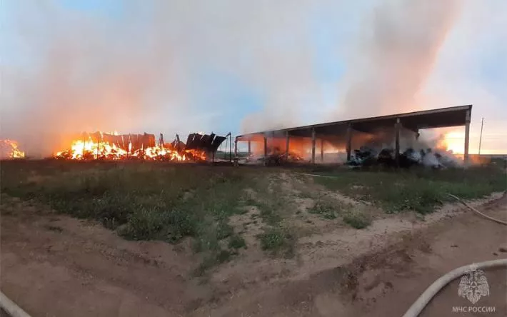 В Можгинском районе Удмуртии загорелась льняная солома на площади 1,3 тыс кв. м