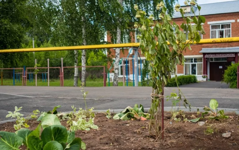 Благоустройство улицы в деревне Дулесово Сарапульского района. Фото: Данил Иванов