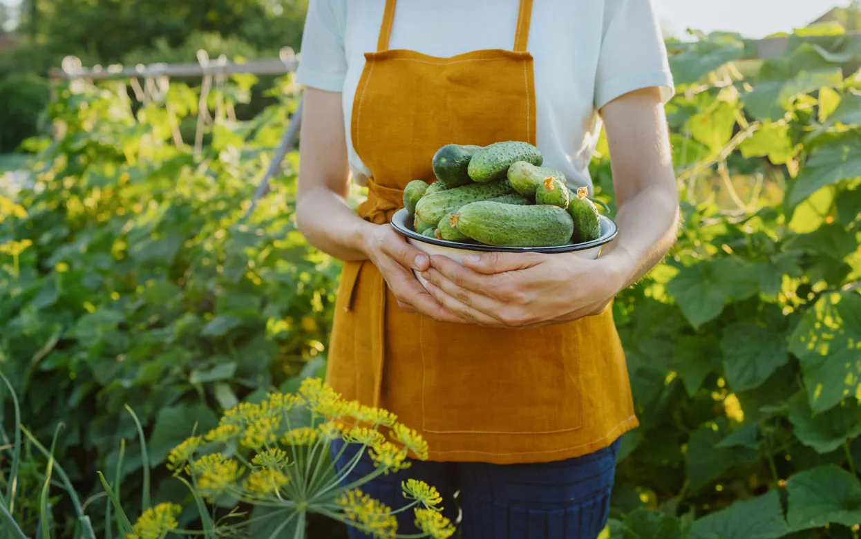Ешьте это, пока не кончилось лето: 7 сезонных продуктов, которые помогают сердцу, сосудам и кишечнику