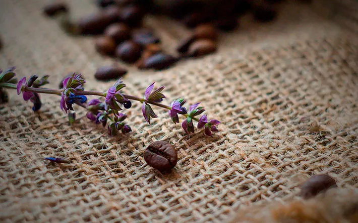 Гороскоп на 25 мая: Близнецам не стоит слушать советы, а Львов ждут романтические сюрпризы