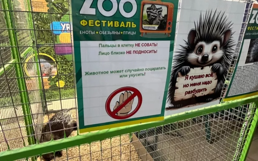 На каждой клетке организаторы поместили предупредительные таблички. Дикобраза предлагается будить, чтобы он поел. Фото: Виктория Афанасьева