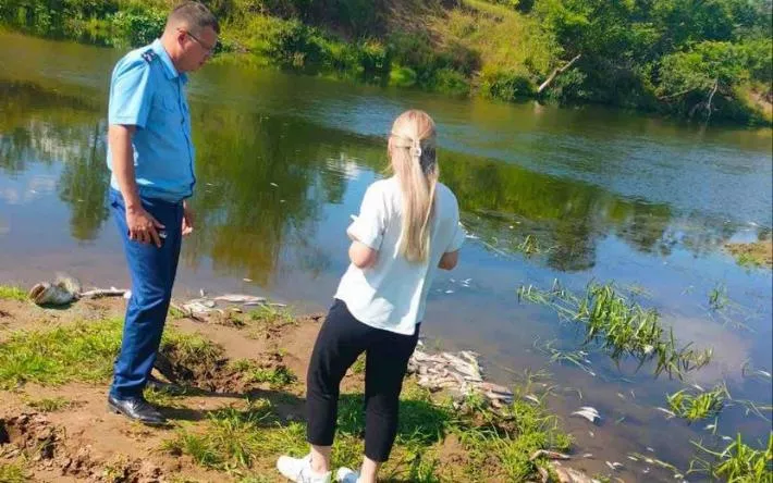 Массовая гибель рыбы вновь произошла в Удмуртии