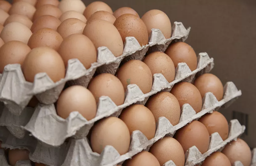 Жителям Удмуртии рассказали, сколько яиц можно съедать в неделю