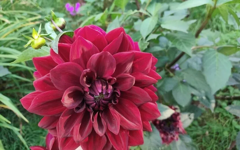 Погода в Ижевске на день: 14 сентября ждем до +19°С с ночными заморозками и туманом