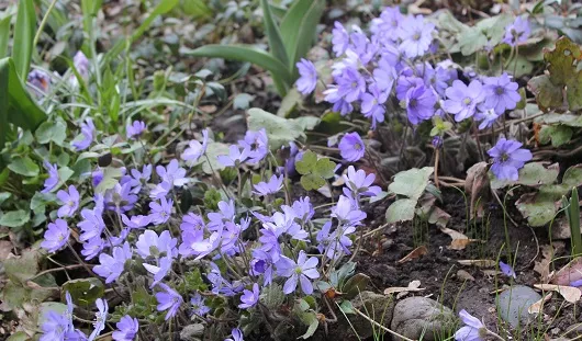 autodni.ru, votkinsk.net, Лана Аристова, izvestia.ru, REUTERS, 365news.biz