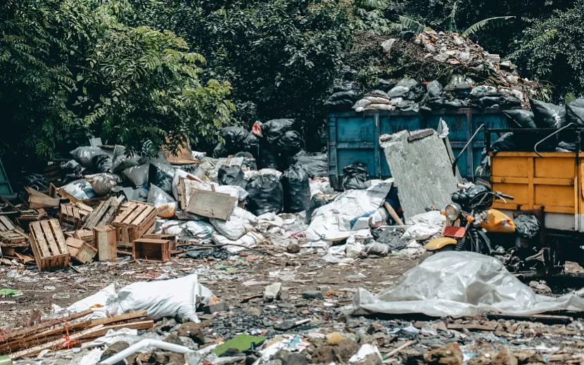 Фото: elements.envato.com