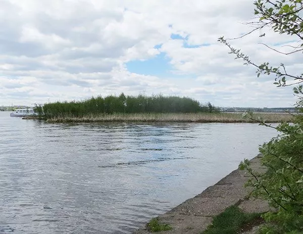 Сергей Грачёв