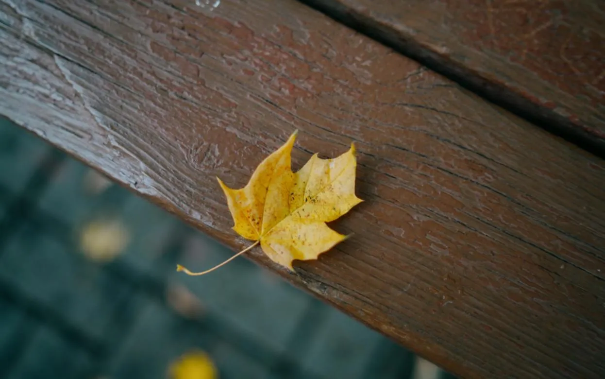 Погода в Ижевске на день: 1 ноября ждем солнце и до +4°С
