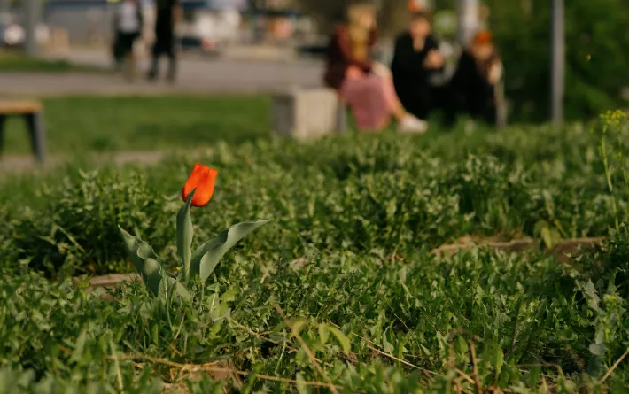 Погода на день в Ижевске: 19 мая осадков не ожидается