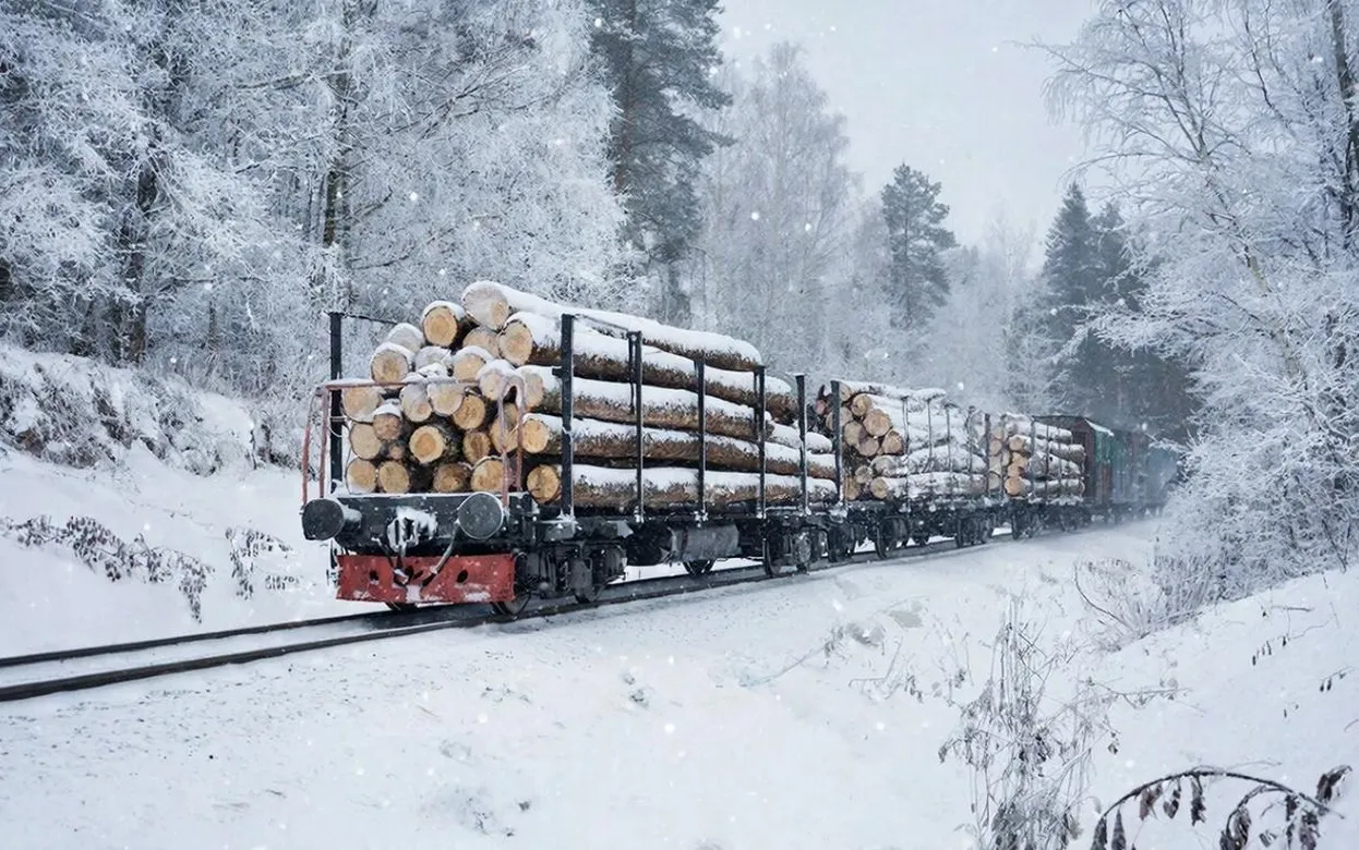 Более 8 тыс. кубометров леса вывезли из Удмуртии в Китай