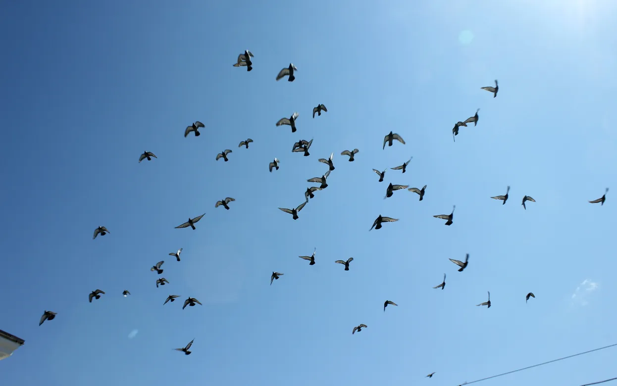 Температурный рекорд для 2 апреля обновился в Ижевске