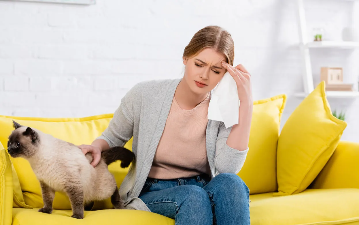 Предательница или сверхчувствительное существо? Почему кошка исчезает, когда вам плохо