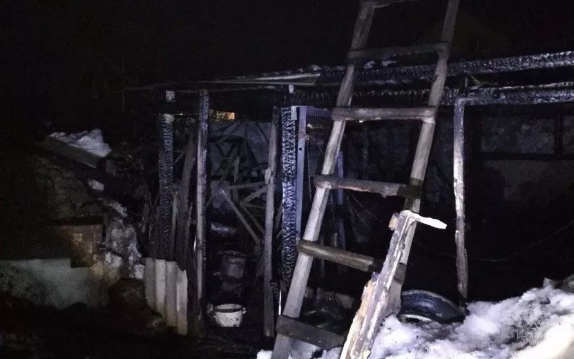 Три поросенка погибли на пожаре в Удмуртии