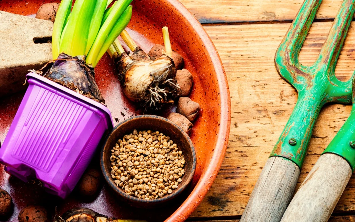 Цены на удобрения приводят в ужас? Вот чем можно накормить растения без переплаты