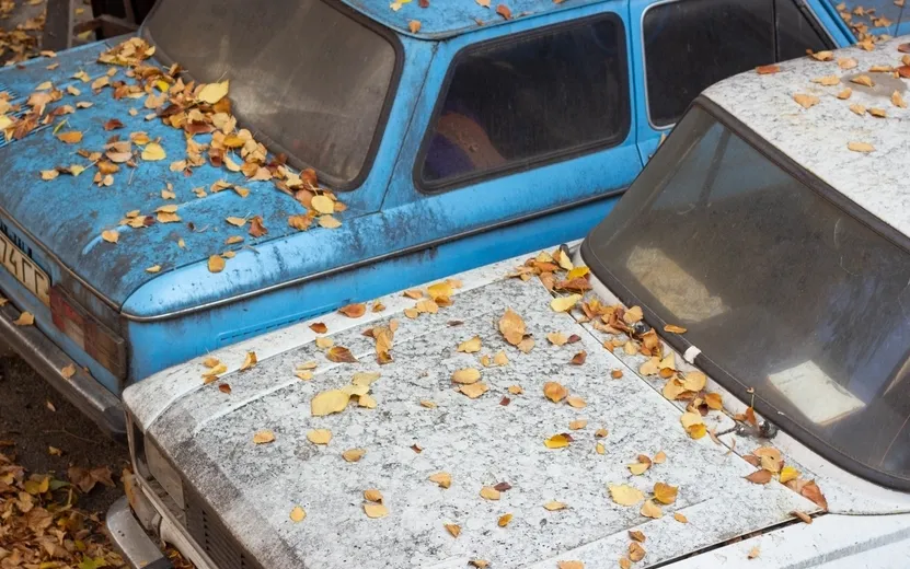 Введение обновленных норм по расчету утильсбора могут отложить в России