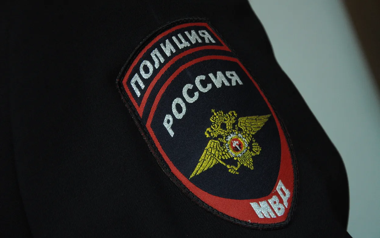 Полиция проводит проверку сообщений об убийстве собаки в Удмуртии