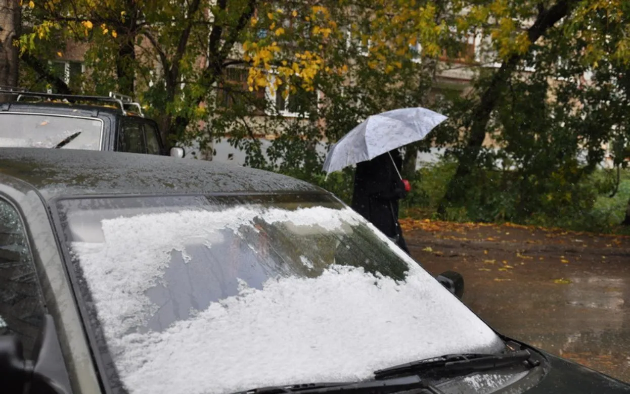 Мокрый снег и дожди пройдут в Удмуртии в ноябрьские праздники