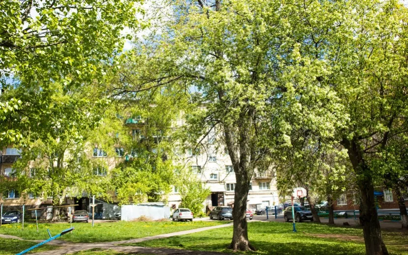 Успейте насладиться этим временем. Фото: Данил Иванов