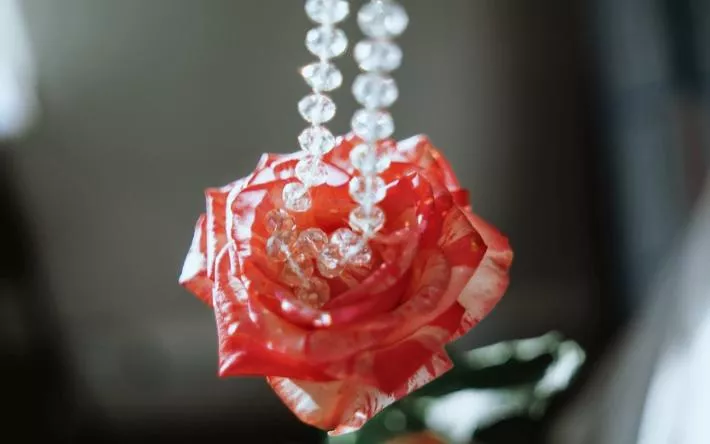 Гороскоп на день: 29 января Близнецам следует заняться творчеством, а Ракам стоит закончить начатые дела