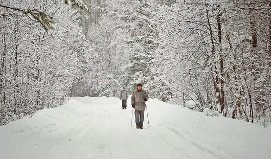 архив редакции