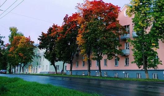 Наталья Пермякова