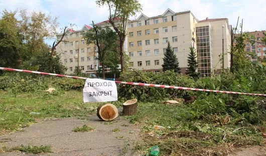 автора