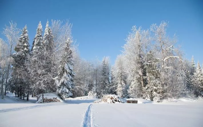 Погода в Ижевске на день: 10 февраля пасмурно и -4 °С