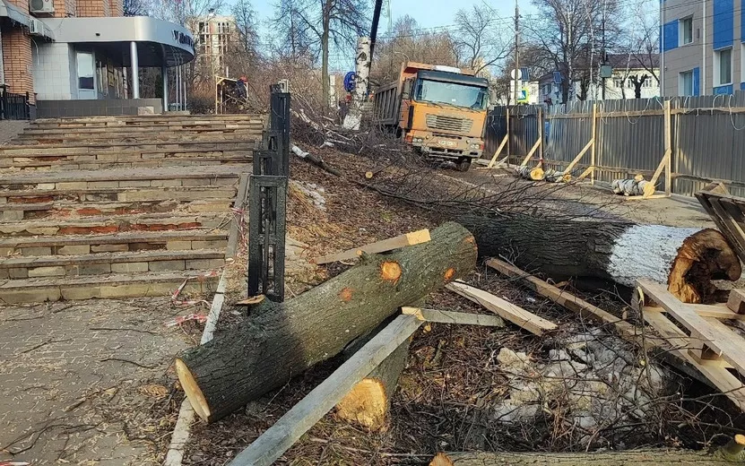 Жители Ижевска жалуются на вырубку деревьев на улице Свободы