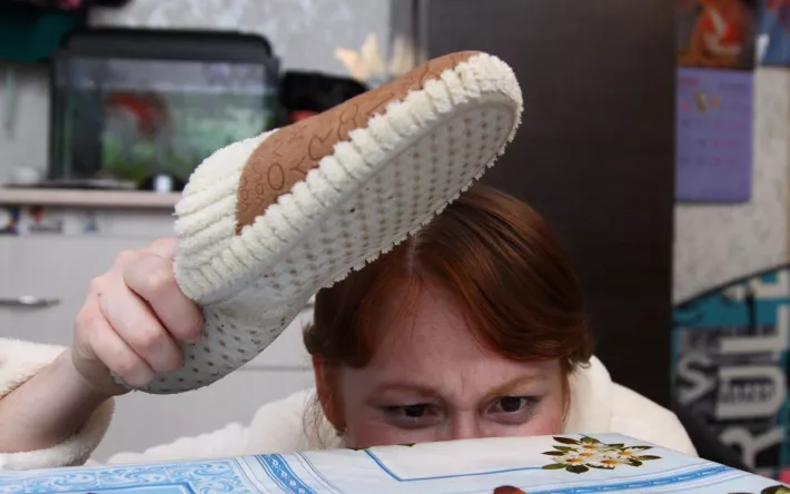 Почему в Ижевске так много тараканов и кто поможет с ними справиться