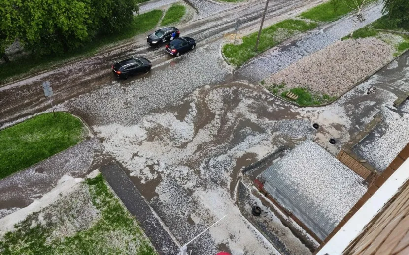 Фото: Полина Андрианова