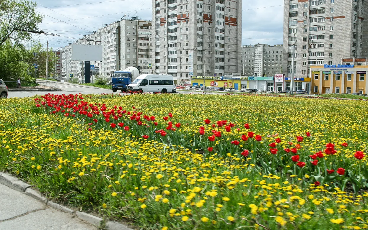 Погода в Ижевске на день: 20 мая ждем +28°С и северо-восточный ветер 