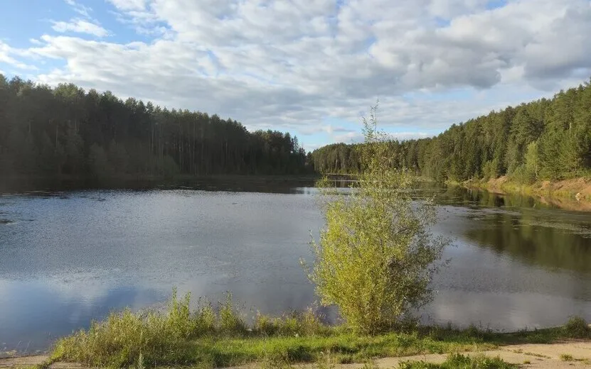 Погода в Ижевске на день: 27 сентября ждем умеренные дожди и до +8°С