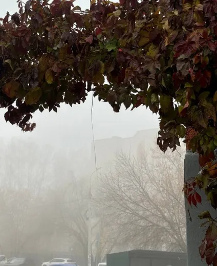 Туман в Ижевске 17 октября. Фото: Софья Глебова