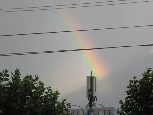 автора, М. Антонова